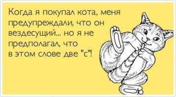 Не ищите здесь смысла. Здесь практически маразм