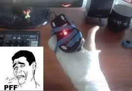 Жаль, что мышка борщ не умеет варить и в постели как-то не очень