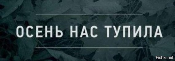 Странные новости со смешными заголовками