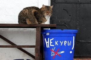 Не курит вроде ентот котик!!!