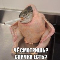 Очень колоритные уличные коты