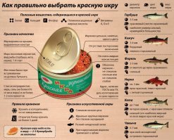 Как правильно выбрать икру к Новому году, чтобы отметить его не в туалете