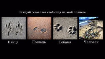 Социальная реклама, которая достойна вашего внимания