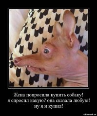 Свяжись, может поменяетесь!
