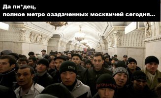 озадачили москвичей (ц)