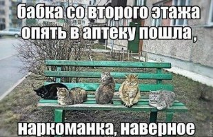 Бабушка пустилась во все тяжкие