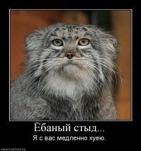 Арабы превратили Mercedes Gelandewagen 6X6  в яхту на колесах