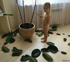 Родители отвернулись на секунду: 14 нашкодивших детей, которые не раскаиваются в содеянном