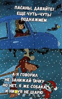 Прикольные и смешные картинки