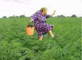 Бабушка пустилась во все тяжкие