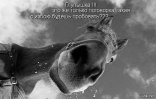 Немцы назвали российских женщин "сильным полом"