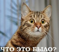 Алкопост на вечер этой пятницы