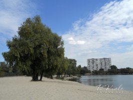 в Киеве чуть-чуть по другому.
Цитата:
Власти объявили конкурс на лучший проект памятника Виктору Цою. Об этом глава горадминистрации Александр Попов сообщил 21 июня   в день, когда лидеру «Кино» исполнилось бы 50 лет. 

Памятник Цою планируют установить в Березняках, на берегу озера Тельбин. Здесь летом 1986 группа «Кино» снялась в фильме «Конец каникул»   дипломной работе киевского режиссёра Сергея Лысенко. Спустя пять лет, уже после смерти Цоя, пляж у озера Тельбин стал местом паломничества его поклонников. Они собираются у «Дерева Цоя»   ивы, возле которой разворачивалось действие фильма.