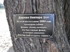 в Киеве чуть-чуть по другому.
Цитата:
Власти объявили конкурс на лучший проект памятника Виктору Цою. Об этом глава горадминистрации Александр Попов сообщил 21 июня   в день, когда лидеру «Кино» исполнилось бы 50 лет. 

Памятник Цою планируют установить в Березняках, на берегу озера Тельбин. Здесь летом 1986 группа «Кино» снялась в фильме «Конец каникул»   дипломной работе киевского режиссёра Сергея Лысенко. Спустя пять лет, уже после смерти Цоя, пляж у озера Тельбин стал местом паломничества его поклонников. Они собираются у «Дерева Цоя»   ивы, возле которой разворачивалось действие фильма.