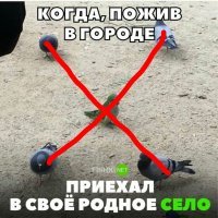 Они чтото затевают. Какойто знак очертили. Секта точно говорю.