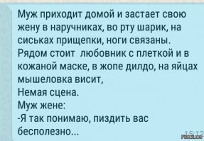 Прикольные и смешные картинки