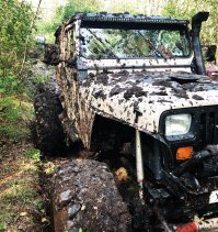 Думаю большинство этих машин даже грязи не видели! На Российских просторах можно найти авто куда интереснее