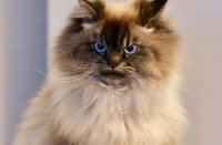 и очень опасно