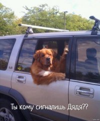 Эх, прокачусь!