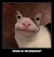 Демотивируй