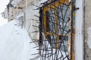 может это против белых медведей?