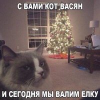 Субботние картинки