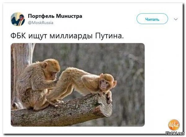 Тема триллиардов Путина не раскрыта!