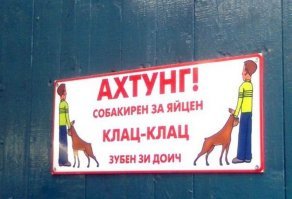 Собачьи демотиваторы