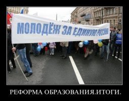 Собачьи демотиваторы