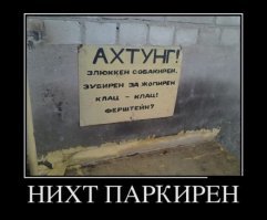Собачьи демотиваторы