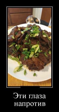 Собачьи демотиваторы