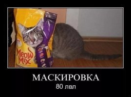 20 мастеров маскировки, у которых стоит поучиться шпионам