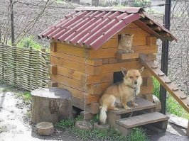 1-2)Уличный дом...
3)Домашний...