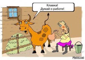 Сельские доярки, у которых есть странички в Instagram