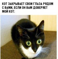 Прикольные картинки с надписями