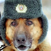 Смирнааа!