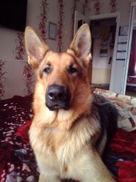 Добавлю в подборку и свое чудо:-)