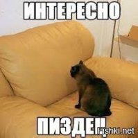 Джастин Бибер перестал скрывать свою жену