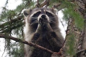 Подборка кубиков #102