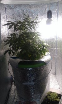 пойдет под это дело)
