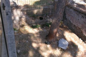 Мы тоже их видели