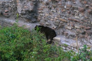 Мы тоже их видели