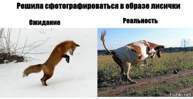 Самые смешные и забавные картинки