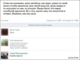 Прикольные и смешные картинки