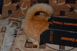 Американский ринг-тейл Вася