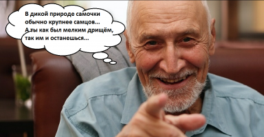 Прикольные и смешные картинки