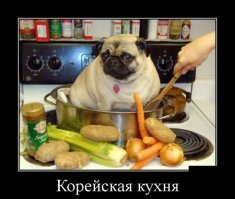 Готовим на скорую руку/лапу