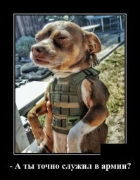 Точно девушки. Израиль - это не США. Почитай статью по ссылке.

.