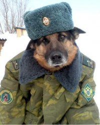 Не в дружбу, а в службу