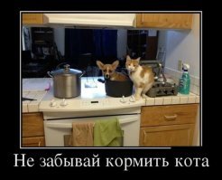 Готовим на скорую руку/лапу